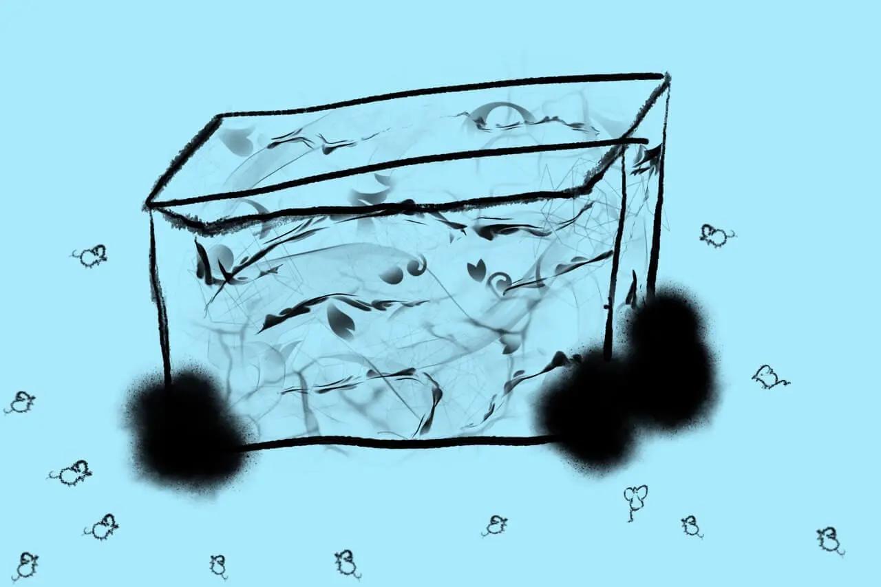 What is in the box?