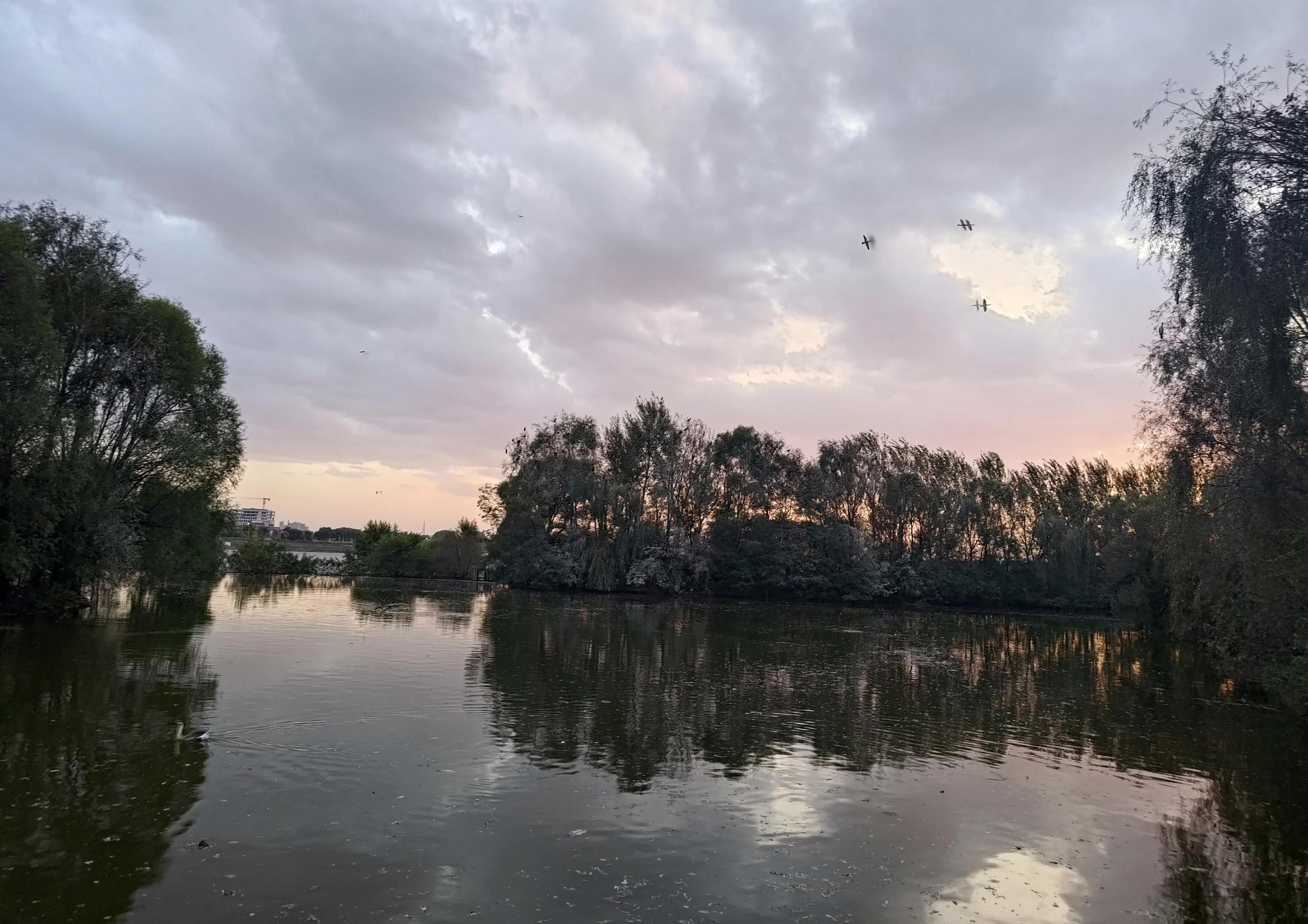 Bird Island Wetland